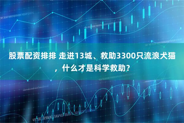 股票配资排排 走进13城、救助3300只流浪犬猫，什么才是科学救助？